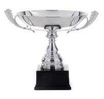 bokaal zilverkleur-p2549