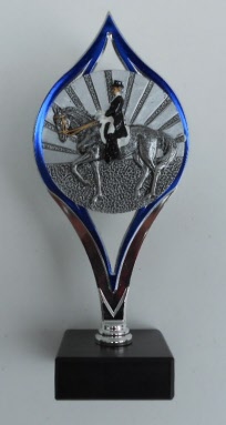 paard dressuur figuur-dscn1880