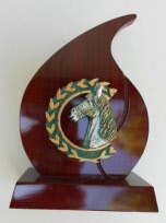 paard6