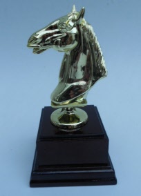 paardenprijs-p359