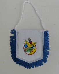 vaantje springpaard2